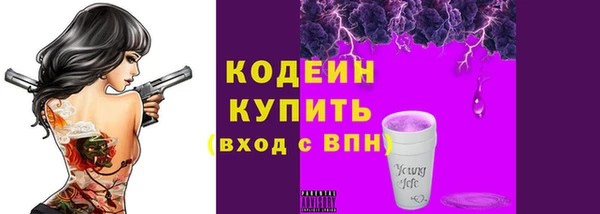 хмурый Ладушкин