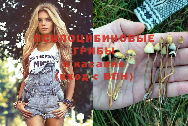хмурый Ладушкин