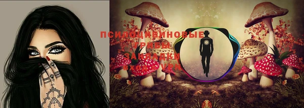 стаф Лабытнанги