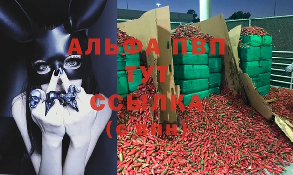 хмурый Ладушкин