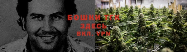 стаф Лабытнанги