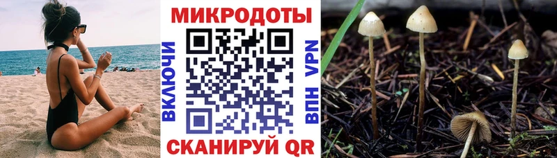 Псилоцибиновые грибы Magic Shrooms  где найти   Городище 